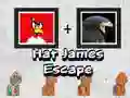 Spel Hat James Flykt pÄ nÀtet Spel Hat James Flykt pÄ nÀtet