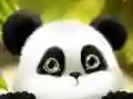 Spel Panda Rutschning pÄ nÀtet Spel Panda Rutschning pÄ nÀtet