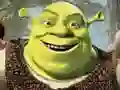 Spel Shrek Pusselkollektion på nätet