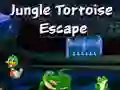 Spel Jungle Sköldpadds Rymning på nätet Spel Jungle Sköldpadds Rymning på nätet
