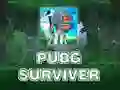 Spel PUBG Överlevande på nätet