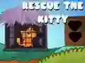Spel Rädda kattungen på nätet Spel Rädda kattungen på nätet