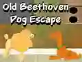 Spel Gammal Beethoven Hund Flykt pÄ nÀtet Spel Gammal Beethoven Hund Flykt pÄ nÀtet