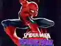 Spel Spiderman: Färgfallet på nätet Spel Spiderman: Färgfallet på nätet