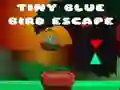 Spel Upplevelse av en liten blå fågel på nätet Spel Upplevelse av en liten blå fågel på nätet