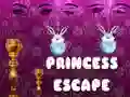 Spel Prinsessflykt pÄ nÀtet Spel Prinsessflykt pÄ nÀtet