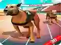 Spel Galet hundlopp pÄ nÀtet Spel Galet hundlopp pÄ nÀtet