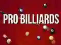Spel Pro Billiards på nätet