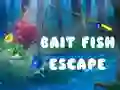 Spel Bait Fish Escape pÄ nÀtet Spel Bait Fish Escape pÄ nÀtet