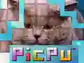Spel PicPu Katt pÄ nÀtet Spel PicPu Katt pÄ nÀtet