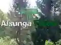 Spel Återvända till Alsunga-skogen på nätet Spel Återvända till Alsunga-skogen på nätet
