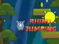 Spel Rynande Noshorn pÄ nÀtet Spel Rynande Noshorn pÄ nÀtet