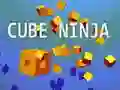 Spel Kub Ninja pÄ nÀtet Spel Kub Ninja pÄ nÀtet