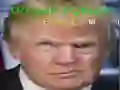 Spel Trump Rolig Ansikte pÄ nÀtet Spel Trump Rolig Ansikte pÄ nÀtet