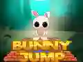 Spel Kanin Hopp pÄ nÀtet Spel Kanin Hopp pÄ nÀtet