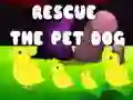 Spel Rädda husdjurs hunden på nätet Spel Rädda husdjurs hunden på nätet