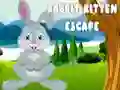 Spel Kanin och Kattungens Rymning pÄ nÀtet Spel Kanin och Kattungens Rymning pÄ nÀtet