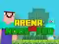Spel Arena: Noob mot Pro på nätet