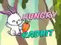 Spel Hungrig Kanin pÄ nÀtet Spel Hungrig Kanin pÄ nÀtet