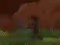Spel Fas Ninja pÄ nÀtet Spel Fas Ninja pÄ nÀtet