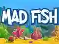 Spel Gal Fisk på nätet