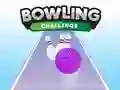 Spel Bowlingutmaning på nätet