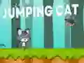 Spel Hoppar Katt pÄ nÀtet Spel Hoppar Katt pÄ nÀtet
