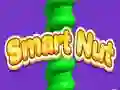 Spel Smart Nöt på nätet Spel Smart Nöt på nätet
