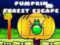 Spel Pumpa Skog Rymning pÄ nÀtet Spel Pumpa Skog Rymning pÄ nÀtet