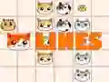 Spel Kattlinjer pÄ nÀtet Spel Kattlinjer pÄ nÀtet
