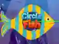 Spel Cirkelfisk pÄ nÀtet Spel Cirkelfisk pÄ nÀtet