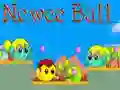 Spel Newee Boll pÄ nÀtet Spel Newee Boll pÄ nÀtet