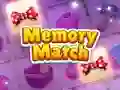Spel Minnesmatch pÄ nÀtet Spel Minnesmatch pÄ nÀtet