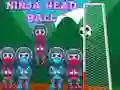Spel Ninja Huvudet Boll på nätet