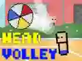 Spel Huvudvolley pÄ nÀtet Spel Huvudvolley pÄ nÀtet