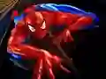 Spel Spider-Man Pussel på nätet