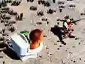 Spel TopDown Skibidi Toalett Skjutning pÄ nÀtet Spel TopDown Skibidi Toalett Skjutning pÄ nÀtet