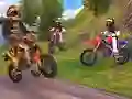 Spel Motocross körsimulator på nätet