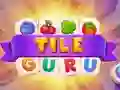 Spel Platt Guru på nätet