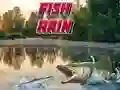 Spel Fiskregn på nätet