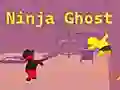 Spel Ninja Spöke på nätet