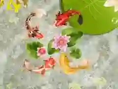 Spel Koi-fiskdam pÄ nÀtet Spel Koi-fiskdam pÄ nÀtet