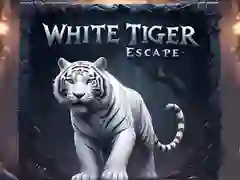 Spel Vita Tiger Rymning pÄ nÀtet Spel Vita Tiger Rymning pÄ nÀtet