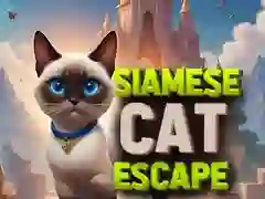 Spel Siamesisk kattflykt pÄ nÀtet Spel Siamesisk kattflykt pÄ nÀtet
