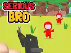 Spel Seriösa Bror på nätet Spel Seriösa Bror på nätet