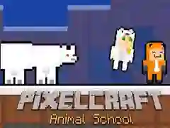 Spel PixelCraft Djur Skola på nätet