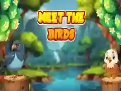 Spel Möt Fåglarna på nätet Spel Möt Fåglarna på nätet