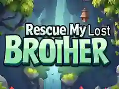 Spel Rädda min förlorade bror på nätet