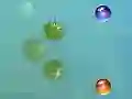 Spel Mina äventyr på nätet
