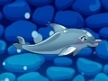 Spel Min delfinshow 5 på nätet